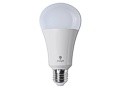 Tageslicht LED-Energiesparbirne 15W